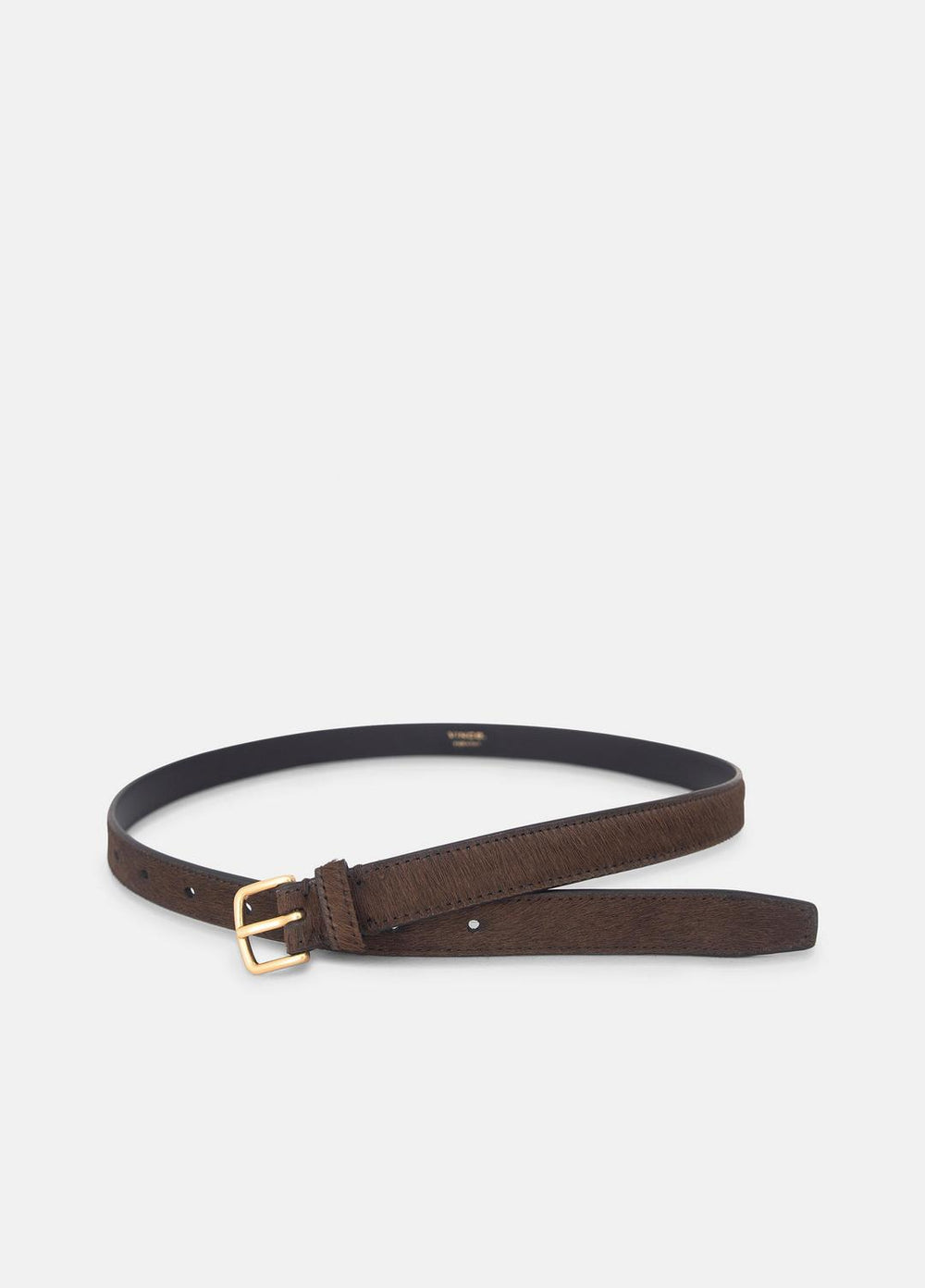 Women's 20mm Calf Hair Belt in Belts - CACAO BROWN