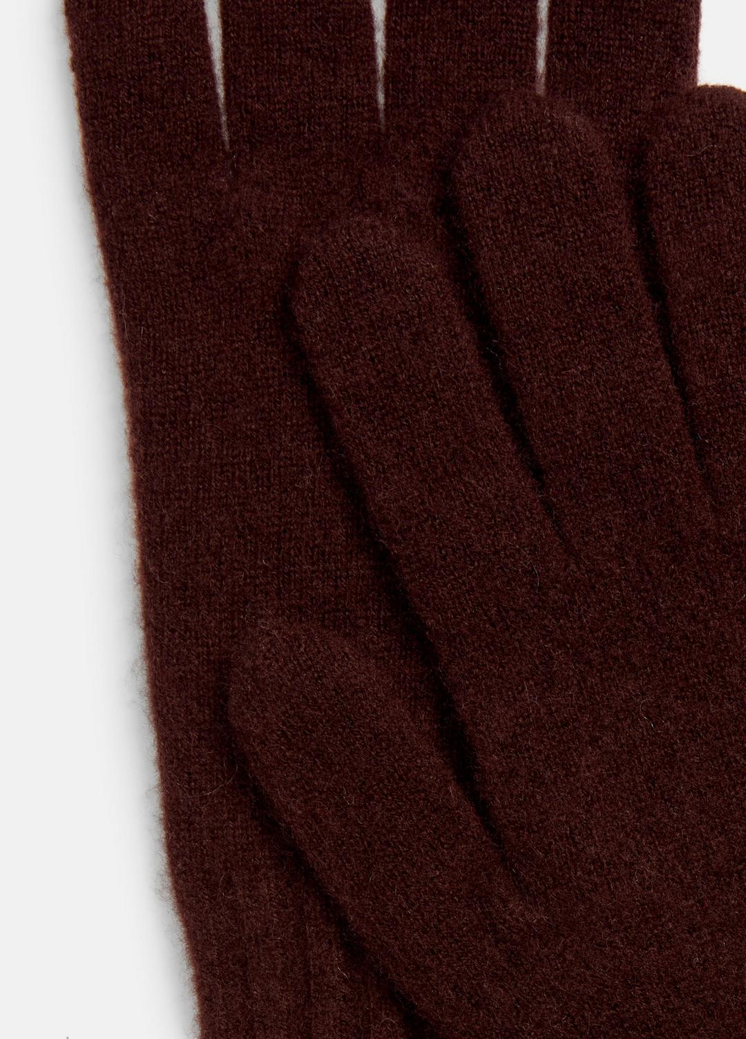 Plush Cashmere Gloves in Gloves - FIG