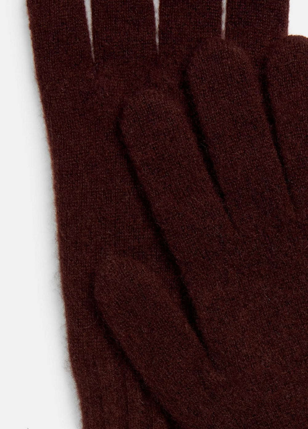 Plush Cashmere Gloves in Gloves - FIG