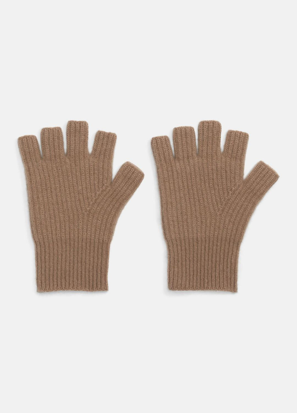 Plush Cashmere Rib-Knit Fingerless Glove in Gloves - BISCOTTI