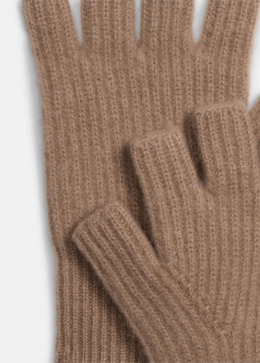 Plush Cashmere Rib-Knit Fingerless Glove in Gloves - BISCOTTI