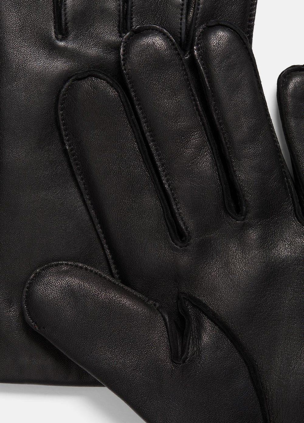 Classic Cashmere-Lined Leather Glove in Gloves - BLACK CAMELLETO